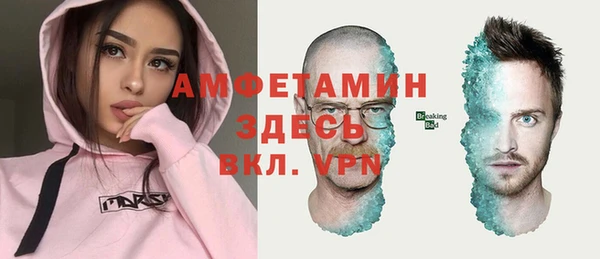 молекула духа Михайловск