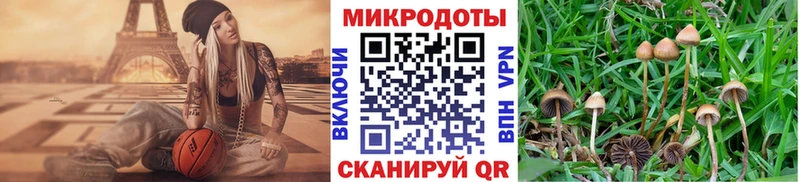 Галлюциногенные грибы Magic Shrooms  Ильский 